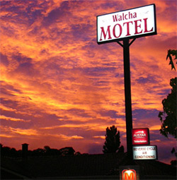 Walcha Motel - 31W Fitzroy Street (Oxley Hwy) Walcha NSW 2354